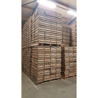 50 stuks Authentieke 2 lats fruitkisten